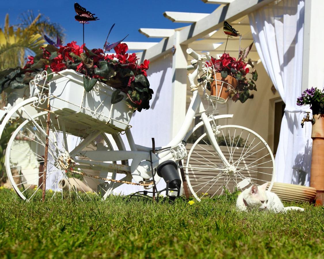 Oasi Siciliana Apartment แตร์ราซีนี ภายนอก รูปภาพ